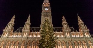 Коледа във Виена - със самолет и водач на български език
