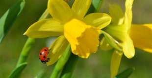 Майски празници - Коста дел Сол