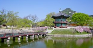 Екскурзия в Южна Корея - древни традиции и модерни технологии!