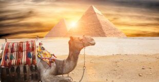 Екскурзия в ЕГИПЕТ: Кайро - град на контрастите - 4 нощувки