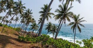Екскурзия в ШРИ ЛАНКА - класически тур и почивка, с водач от България!
